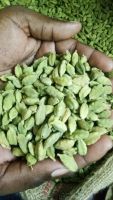 Dried green cardamom spice,Elongated Shape Dried green cardamom, green cardamom