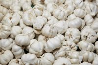 Organic Non GMO Fresh Pure White Garlic for Sale.