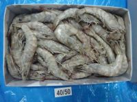 Frozen Vannamei Shrimps