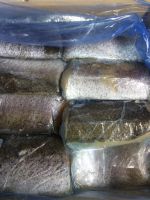 Ã¢ï¿½ï¿½Frozen Hake/Merluzza (M. Merluccius) HGT