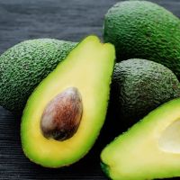 Fresh Avocado /Hass and Fuerte for sale worldwide