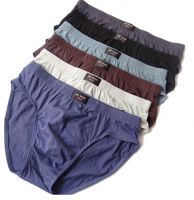 Men's brief slip underwear