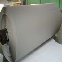 Good Quality Duplex Board Grey Back in Sheets/Rolls