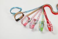 Embroidery Ribbon Harness + Leash