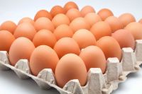Fresh Table Eggs For sale 