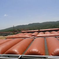 Advanced high temperature anaerobic biogas digester