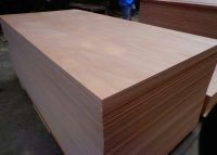 factory price hot sale commercial plywood
