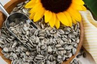 sunflower seeds sunflower kernels sunflowerseed pumpkin kernels pumpkin seeds