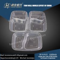 rectangle thin wall container mould