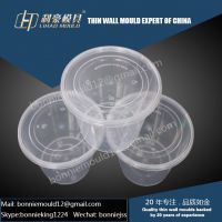 plastic thin wall container mould