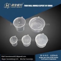 disposable thin wall container with lid mould