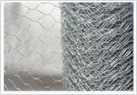 Offer Competitive Price Hexagonal Wire Mesh
