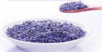 4135 Xun yi cao Planting High Purity Lavender Flower Seed