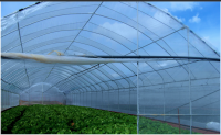 Greenhouse Film