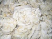 White Wool