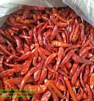 Dried red chili