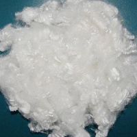 Hollow Conjugated Non-Silicone Recycled Polyester Staple Fiber