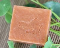Gac Fruit Soap