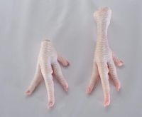 Grade A Frozen Chicken Feet