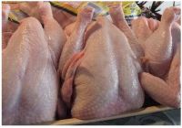 AVAILABLE WHOLE FROZEN CHICKEN, FROZEN CHICKEN FEET, CHICKEN PAWS, CHICKEN WINGS