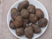 Siru Kilangu (chinese Potato)