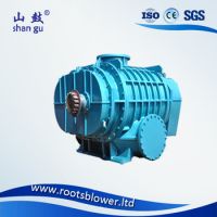 MTRG series roots blower