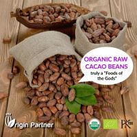 ORGANIC RAW CACAO BEANS