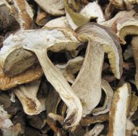 https://es.tradekey.com/product_view/Dried-Boletus-Edulis-Sliced-8945048.html