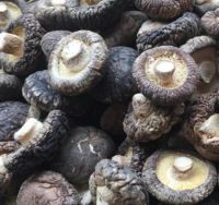 Dried Shiitake Mushroom