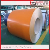 Hot Sale Color Coated Steel Coil