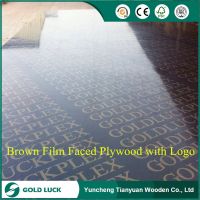 MR Glued Brown Film Faced Plywood for Construction