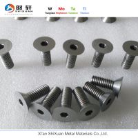 Micro M2.5 allen head tantalum screw