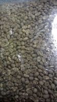Java Robusta Coffee beans