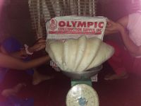 Palawan Giant Pearl Clam