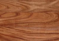 Solid Acacia Flooring