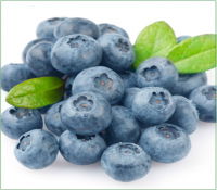 Highly Recommended Top Quality Bilberry Extract
