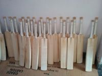 English willow Cricket Bat