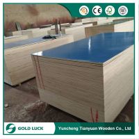 Green and Blue Colored PP PVC Plastic Plywood Sheet