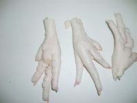 Chicken feet, paws, wing