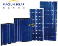 310W High steady  Solar Panel , solar Module  from Macun Solar