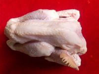 Chicken Meat Frozen