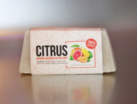 Citrus Organic Essential Oil Bar Soap