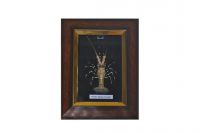 Photo Framed Lobster