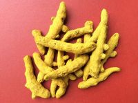 Turmeric Finger with curcumin 6%