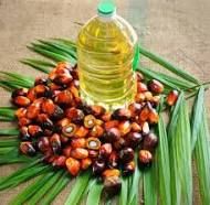 Crude Palm Oil 