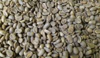 Gayo Arabica Coffee Beans