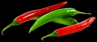 dried red and green chillies