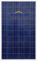 Solar Panel Wholesale 320W Poly Solar Panel PV Solar Panel Price 320w
