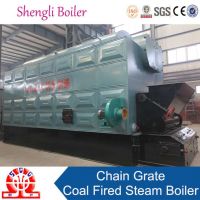 shengli Chain Grate Boiler
