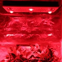 Greenhouse Grow Kit Led Grow Light BR690 1000W Shenzhen Manufacturer High quality material chip, lens & real full spectrum